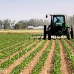 BestInvestmentIdeasinDeltaState Agriculture2CRealEstate2CandTechStartups