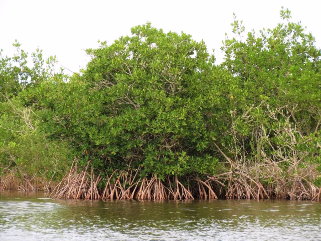 Top Hidden Beautiful Places in Warri You Must See 12 1001240202
