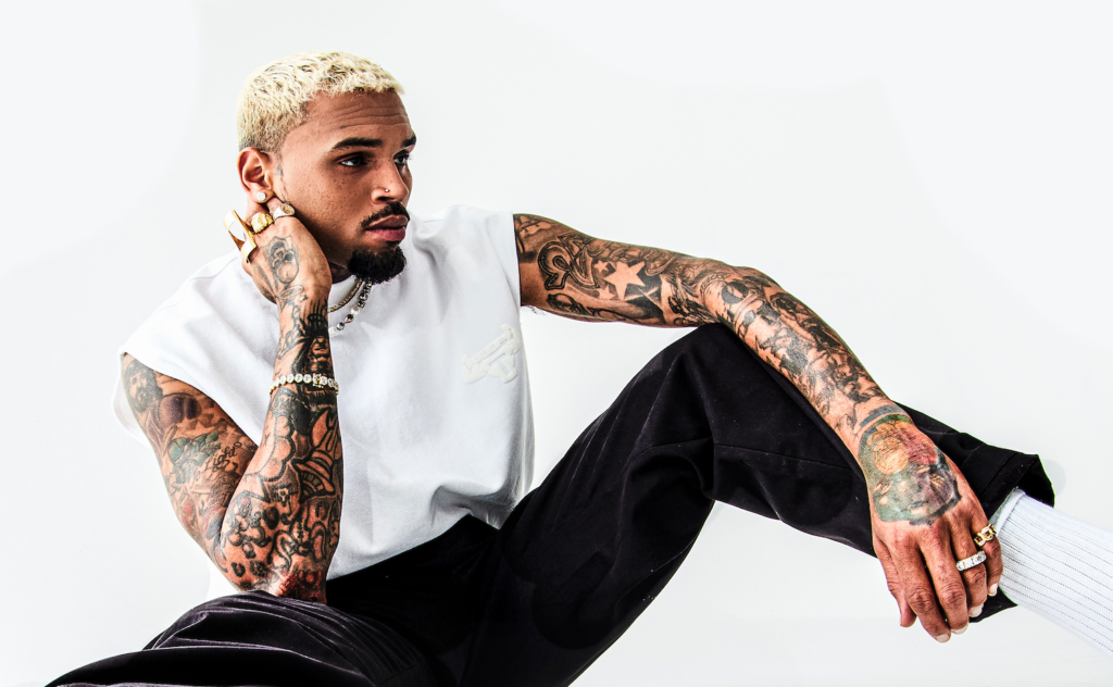 Chris Brown Ordered to Pay ₦19 Billion After His Dog Left His Housekeeper Scarred for Life 11 chris brown