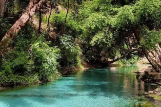 Crystal-clear turquoise spring surrounded by lush green trees, showcasing one of Nigeria's peaceful hidden natural destinations.