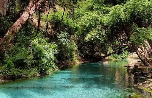 7 Hidden Destinations in Nigeria You've Probably Never Heard Of 11 Crystal-clear turquoise spring surrounded by lush green trees, showcasing one of Nigeria's peaceful hidden natural destinations.